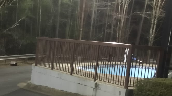 Abandoned cat carrier