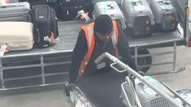 Trasportino per gatti