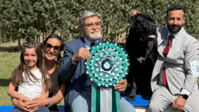 cane corso vincitore