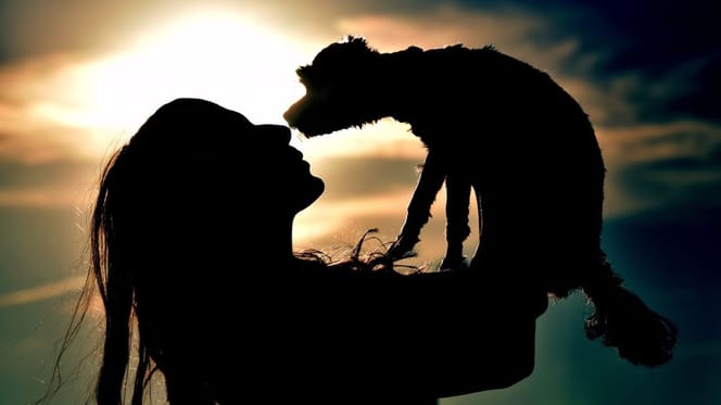 chien et femme au coucher du soleil
