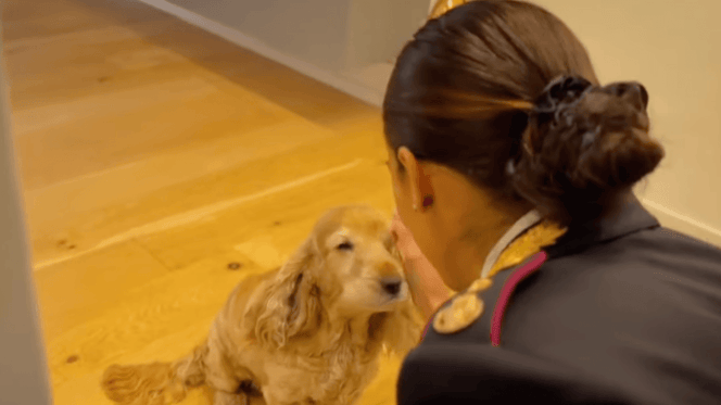 cane e poliziotta