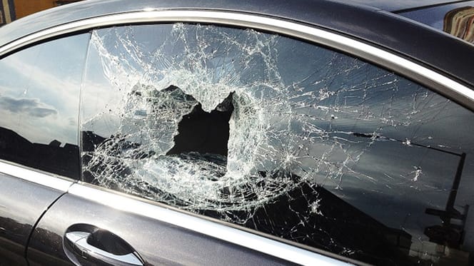 perro muere tras ser dejado en coche ardiente