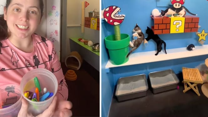 Screenshots from the TikTok video of the kittens
