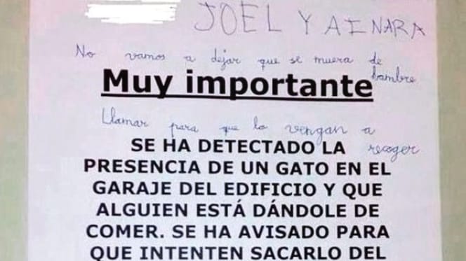 cartel-joel-ainara-comida-gato-garaje