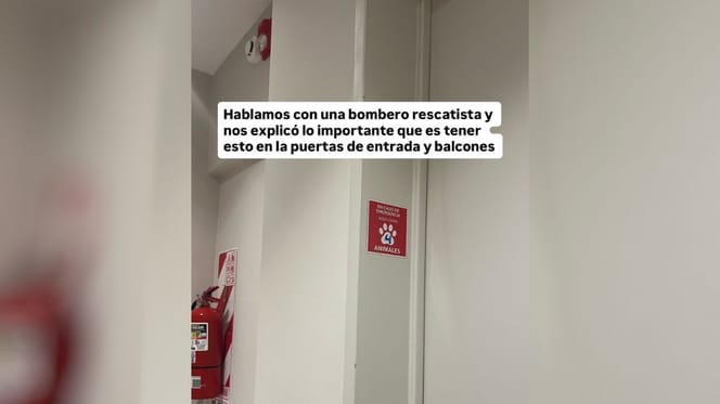 cartel-salvar-animales-emergencia