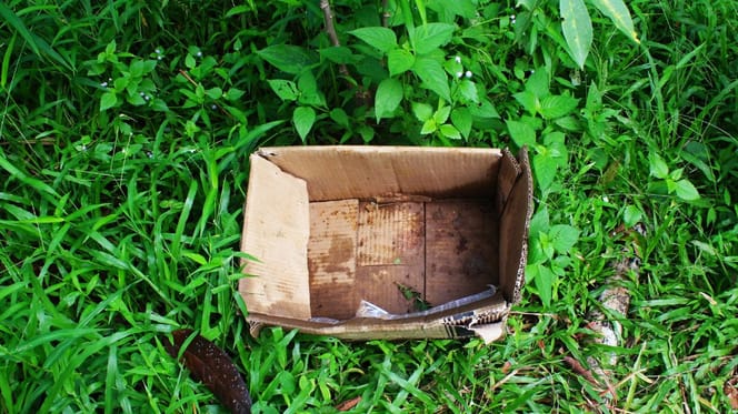 carton