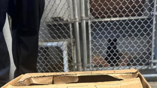The cardboard box the puppy was found in