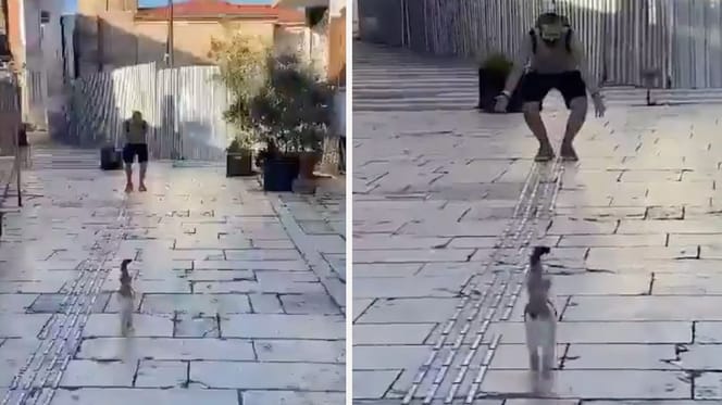 Katze rennt auf ihren Halter zu