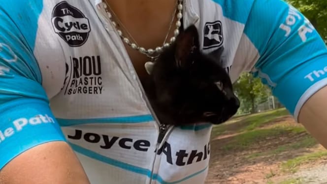 kat op de fiets