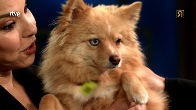 chenoa-con-su-perra-adoptada-cloe