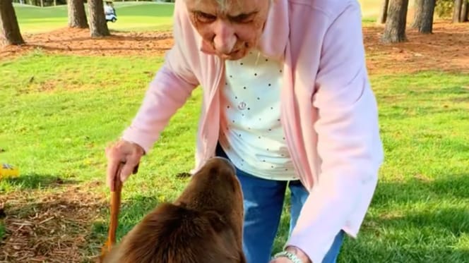 Chewy et sa grand-mère