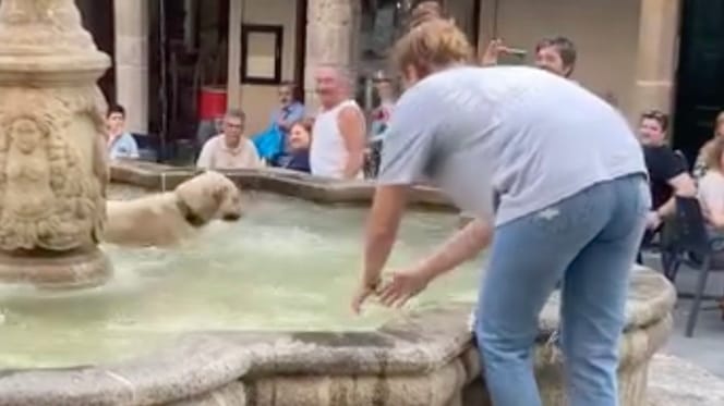 Chien dans la fontaine