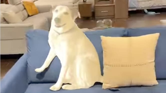 Hund aus Pappe