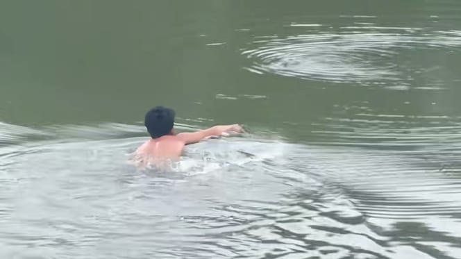 Perro ahogándose en el agua
