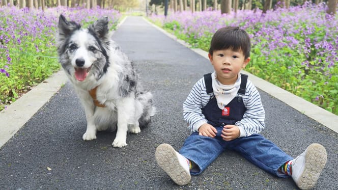 Chien et enfant