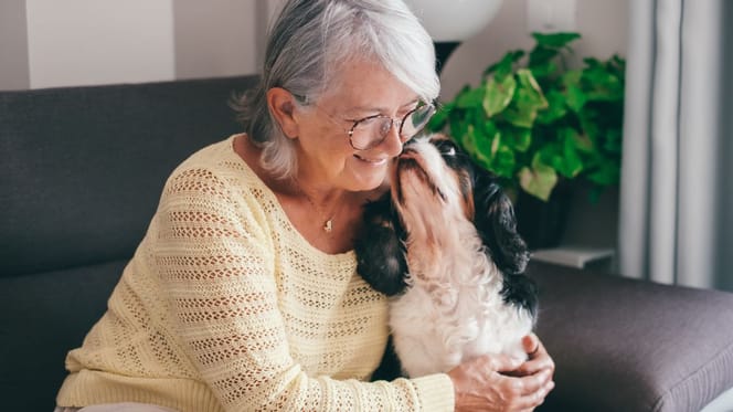 chien et grand-mère