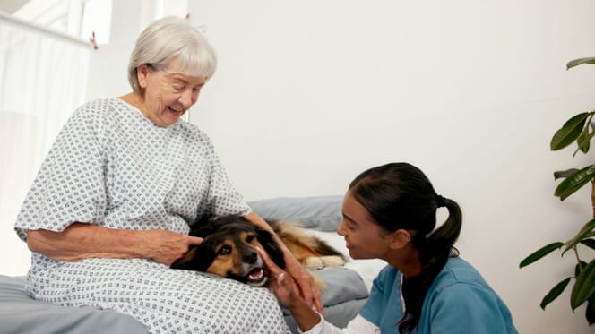 Chien et personne âgée
