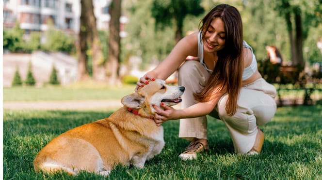chien et propriétaire