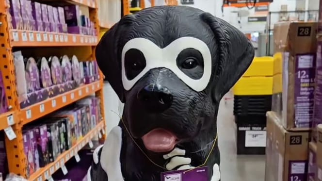 labrador dog halloween
