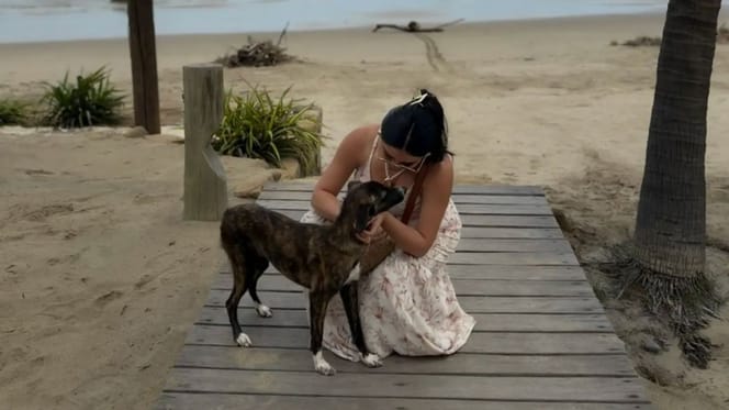 Cane Perù