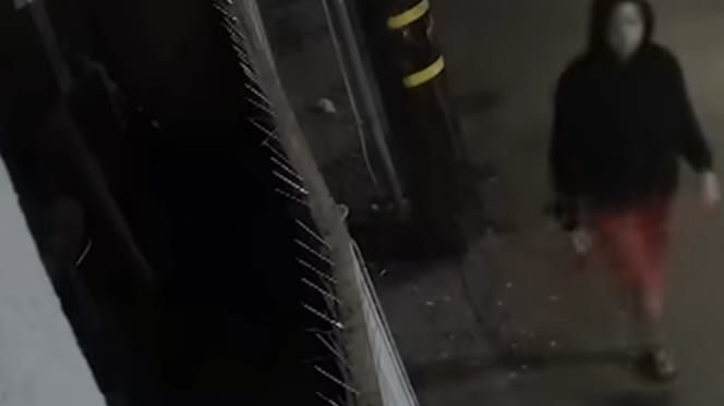 Clôture de clinique vétérinaire