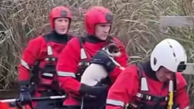 Coast guard holding spaniel