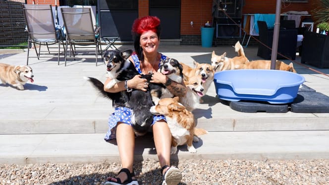 Corgi's en hun baasjes verzamelen zich voor een waar spektakel