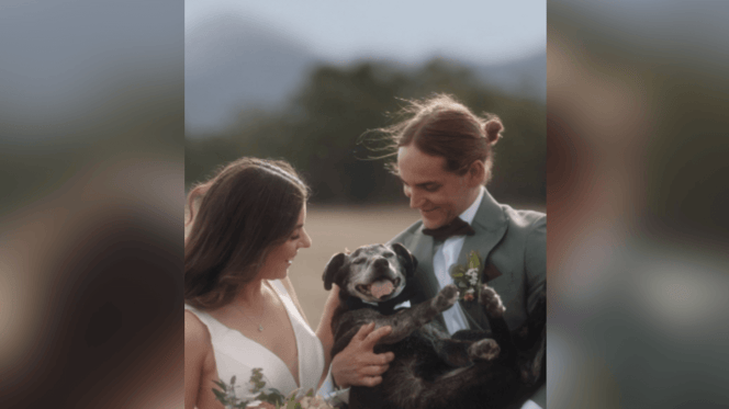 Couple holding black dog on their wedding day