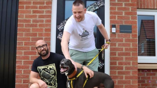 Couple with newly adopted lurcher