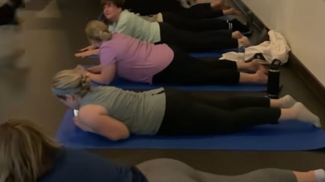 Yogales