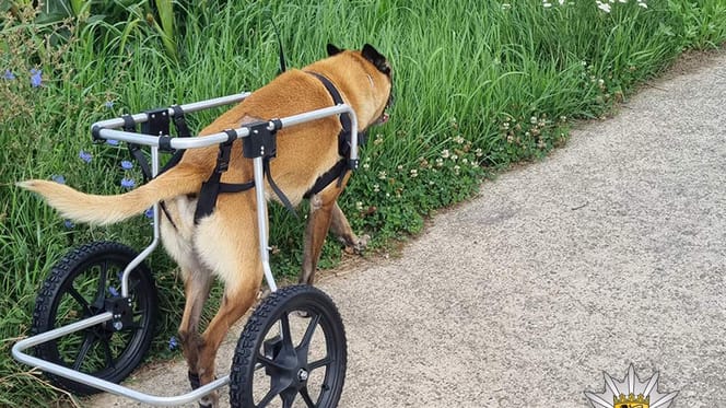 Cuba mit dem Rolli unterwegs