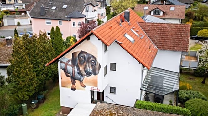 Dackel-Graffiti an der Wand eines Einfamilienhauses