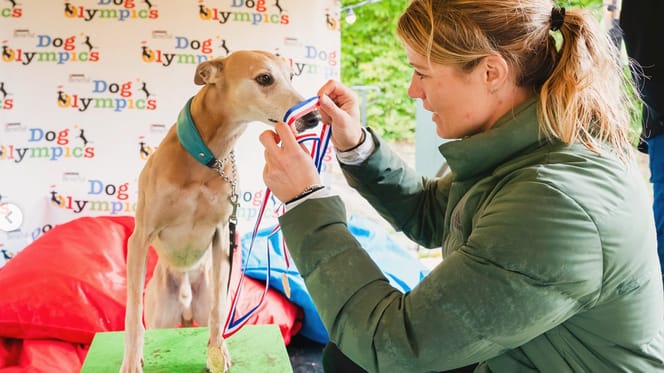 Daphne Schippers kroont de winnende Whippet