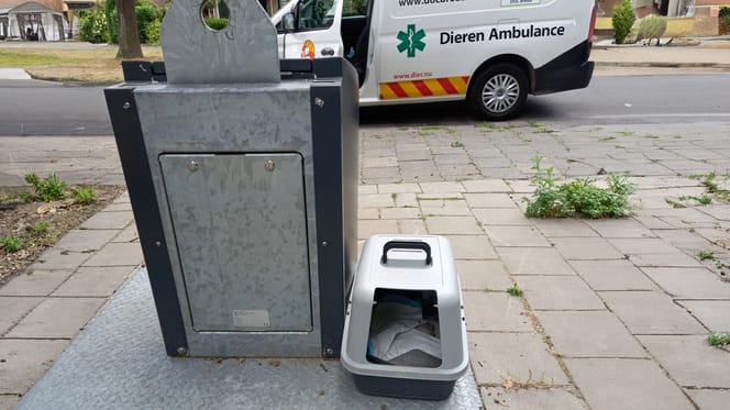 De kat die werd gevonden in een dichtgetapte kattenbak