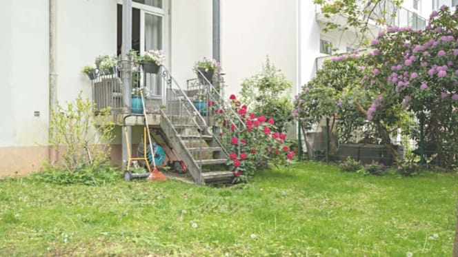 Der Garten der Hamburger Hundehalterin