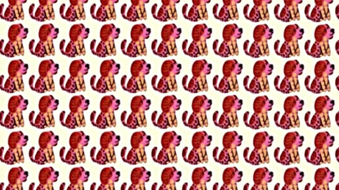 défi visuel chien caché