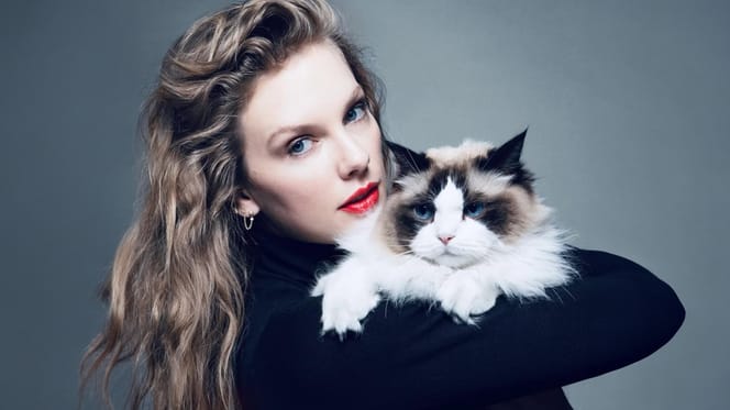 Deze honden en katten zijn rijk, erg rijk