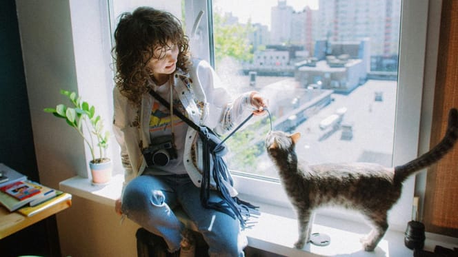 dia-internacional-gato-mitos-alergia-felina