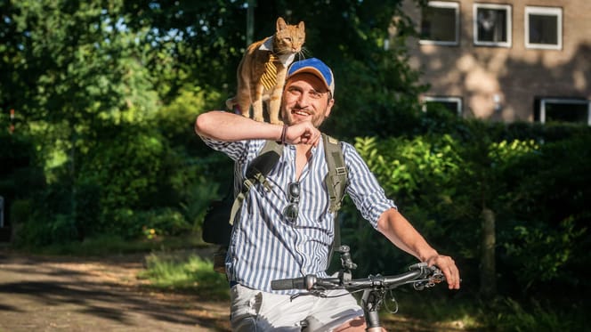 Diego, 1 van de bekendste katten van Nederland