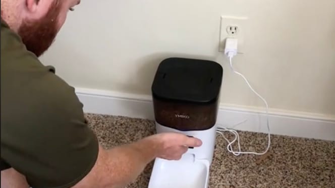 Automatic food dispenser