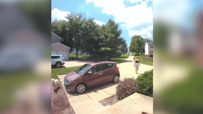Dog and owner looking for each other