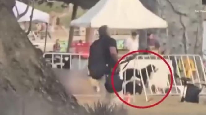 Hond op locatie van Bondi Beach aanval