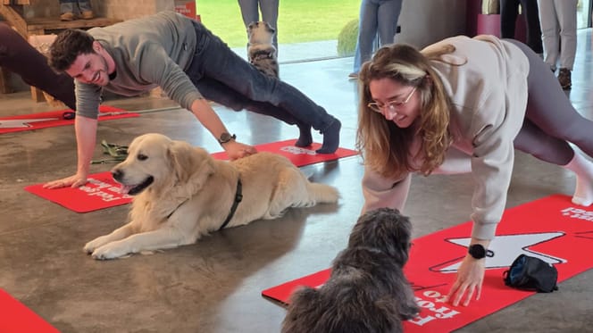 Doga, ofwel yoga voor de hond
