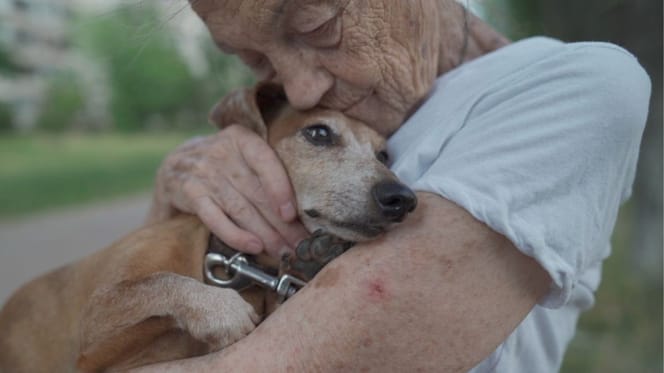 dolor-por-la-muerte-de-mi-perro