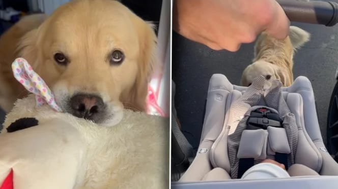 Drake reagiert unerwartet auf das Baby