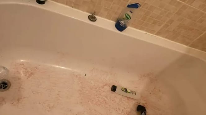 Ein Bild des Schreckens