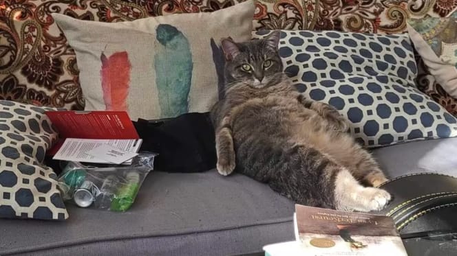 Ein Wohnzimmer
