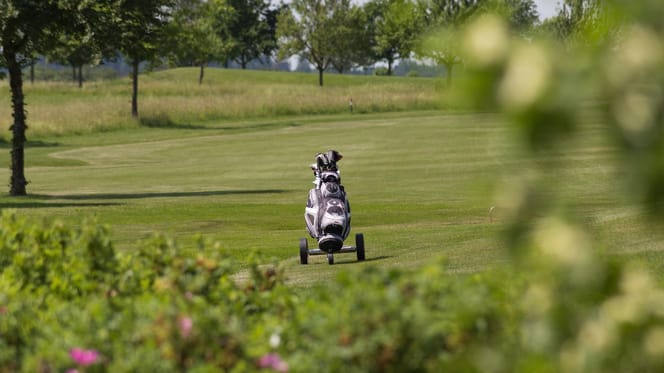 Einsamer Caddy auf einem Golfplatz
