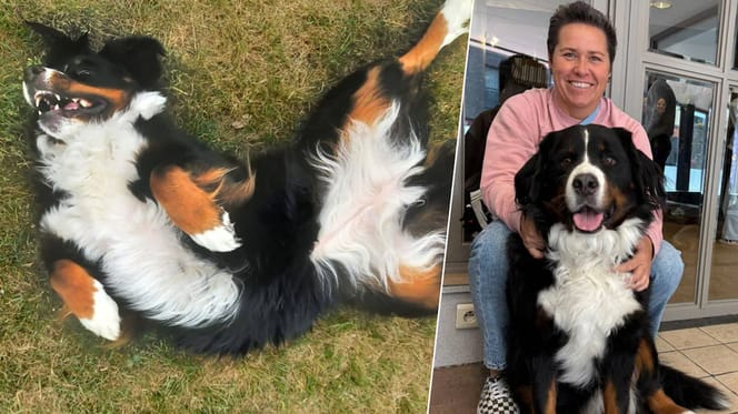 Elke van vzw People4animals met Zenia die ze wil beschermen van de dood