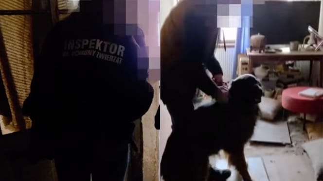 Emma i Brut po interwencji